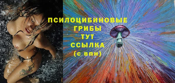 МДПВ Лагань