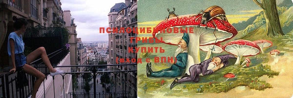 МДПВ Лагань