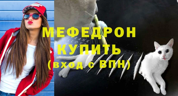 МДПВ Лагань