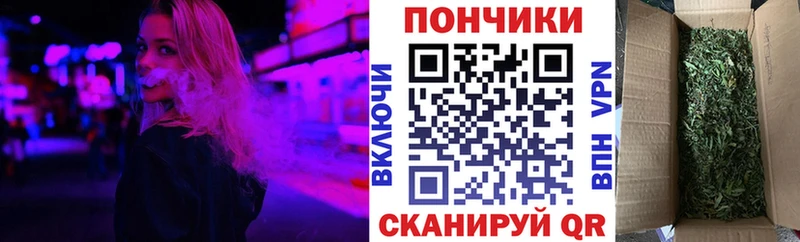 Каннабис индика  Купить где  Новоаннинский 